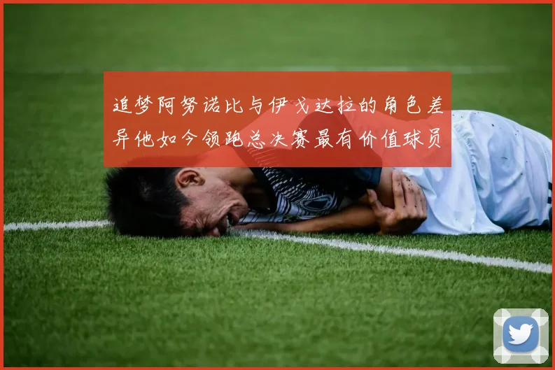 追梦阿努诺比与伊戈达拉的角色差异他如今领跑总决赛最有价值球员